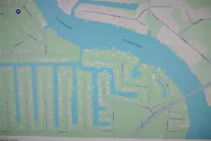 24548 Alligator Rd, Astor, FL 32102 - Photo 3