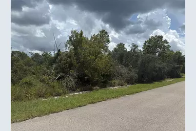 208 Fiji Way NE, Lake Placid, FL 33852 - Photo 3