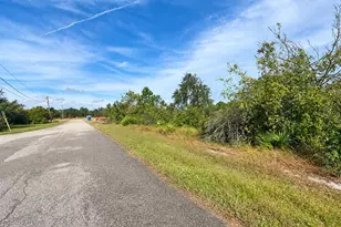 208 Fiji Way NE, Lake Placid, FL 33852 - Photo 1