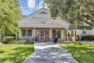 1016 Catori Rd, Oakland, FL 34787 - Photo 61
