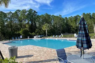 1034 Cypress fox Blvd, Davenport, FL 33897 - Photo 31