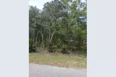 Se Fisher Course #Lot 10, Ocklawaha, FL 32179 - Photo 3