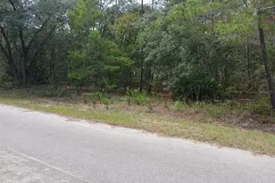 SE Fisher Course, Ocklawaha, FL 32179 - Photo 1