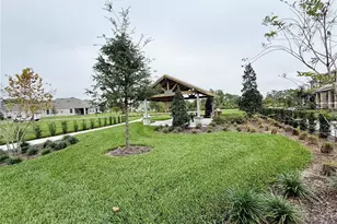16311 Lakelet Alley, Winter Garden, FL 34787 - Photo 19