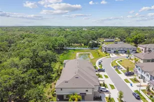 30814 Veridian Wy, Wesley Chapel, FL 33545 - Photo 89