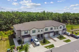 30814 Veridian Wy, Wesley Chapel, FL 33545 - Photo 93