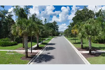 2949 Muller Oak Loop, Ocoee, FL 34761 - Photo 23