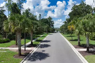 2949 Muller Oak Loop, Ocoee, FL 34761 - Photo 23