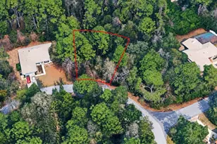 26 Wild Olive Ct, Homosassa, FL 34446 - Photo 1