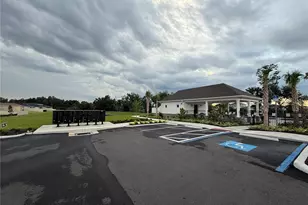 10322 Star Flower Ln, Riverview, FL 33578 - Photo 17