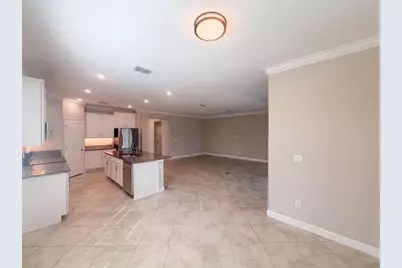 31351 Cannon Rush Drive, San Antonio, FL 33576 - Photo 7