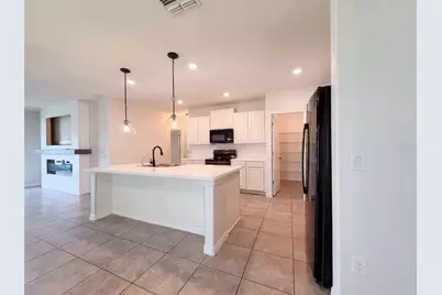 10448 Carloway Hills Drive, Wimauma, FL 33598 - Photo 15