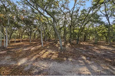 17206 Red Bird Road, Winter Garden, FL 34787 - Photo 9