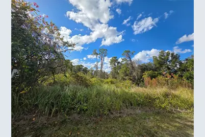 520 W Kingway Drive, Deltona, FL 32725 - Photo 3