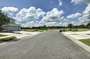 4621 Sparkling Shell Ave, Kissimmee, FL 34746 - Photo 3