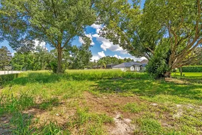 Dingens Avenue, Windermere, FL 34786 - Photo 3
