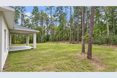 9572 N Sandree Drive, Citrus Springs, FL 34434 - Photo 13