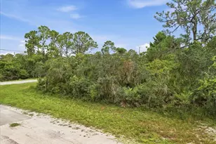 213 Marlin St NW, Lake Placid, FL 33852 - Photo 1
