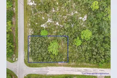 213 Marlin Street NW, Lake Placid, FL 33852 - Photo 9