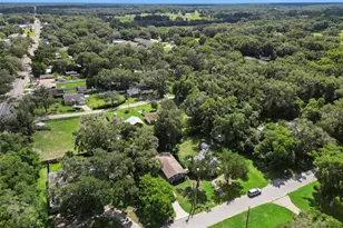 31434 Summit St, Sorrento, FL 32776 - Photo 51