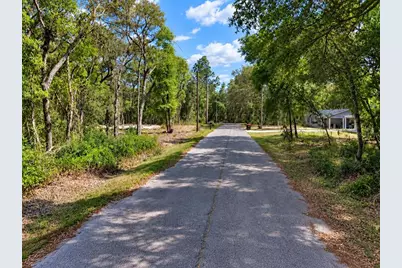 Se 170 Court, Ocklawaha, FL 32179 - Photo 3