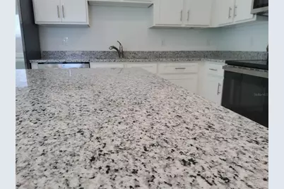1836 Fan Palm Drive, Davenport, FL 33897 - Photo 5