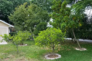 15052 Green Valley Blvd, Clermont, FL 34711 - Photo 35