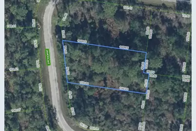 8114 Zamora Avenue, Sebring, FL 33872 - Photo 3