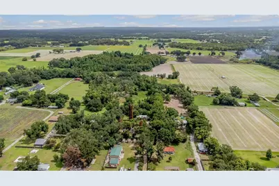 5566 Harvey Tew Road, Plant City, FL 33565 - Photo 11