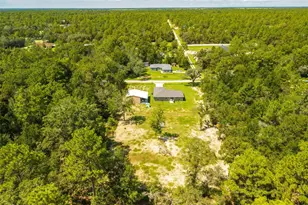 9191 SW 125th Terrace, Dunnellon, FL 34432 - Photo 43