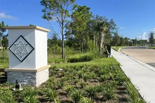 736 Farfields St, Deland, FL 32724 - Photo 9