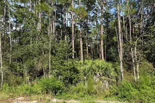 10th Ave, Deland, FL 32724 - Photo 1