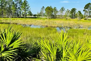 680 Birdswill Ln, Deland, FL 32724 - Photo 7
