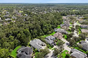 2324 Foliage Oak Terrace, Oviedo, FL 32766 - Photo 49