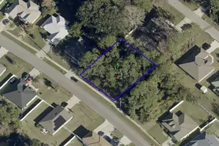 265 Parkview Dr, Palm Coast, FL 32164 - Photo 1