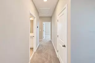 763 Pilea St, Apopka, FL 32703 - Photo 11