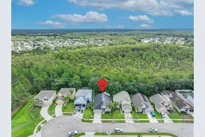 2313 Carnation Hill Court, Orlando, FL 32820 - Photo 47