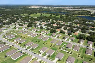 1676 Gopher Tree St, Mascotte, FL 34753 - Photo 39