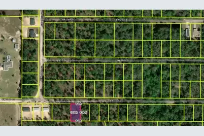 0 SW 30th Lane, Ocala, FL 34481 - Photo 1