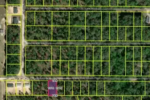 0 SW 30th Ln, Ocala, FL 34481 - Photo 1