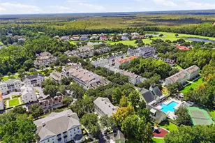 315 Grand Magnolia Ave, Celebration, FL 34747 - Photo 53