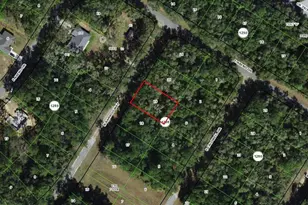 10063 N Bamboo Way, Citrus Springs, FL 34434 - Photo 1