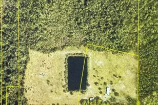 572 N Pine St, Pierson, FL 32180 - Photo 29