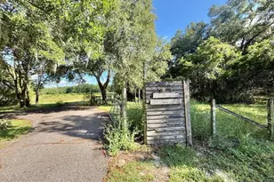 572 N Pine St, Pierson, FL 32180 - Photo 3