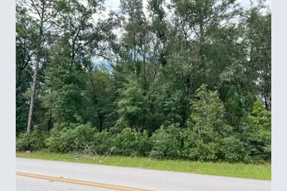 0 SE 132nd Pl Ocklawaha, Ocklawaha, FL 32179 - Photo 1