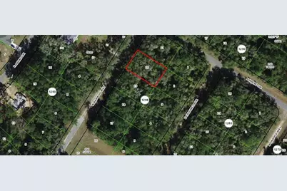 10075 N Bamboo Way, Citrus Springs, FL 34434 - Photo 1