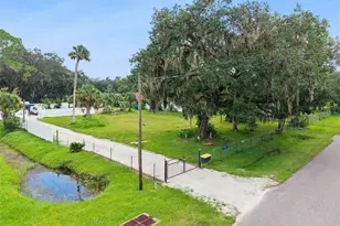 1003 St Catherine Ave, Christmas, FL 32709 - Photo 1