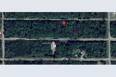 423 Dogwood Avenue, Georgetown, FL 32139 - Photo 5