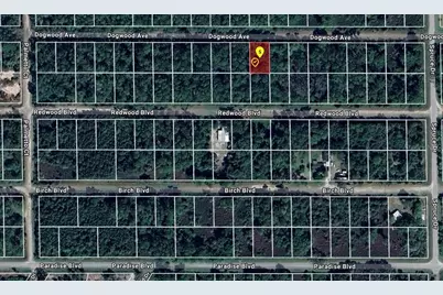 423 Dogwood Avenue, Georgetown, FL 32139 - Photo 9