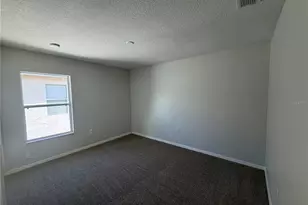 17534 Balmaha Dr, Land O Lakes, FL 34638 - Photo 17